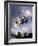 Bmx Cyclist Flys over the Vert-null-Framed Photographic Print