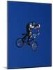 Bmx Cyclist Flys over the Vert-null-Mounted Photographic Print