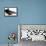 BMX Flying High-Karen Williams-Framed Premier Image Canvas displayed on a wall