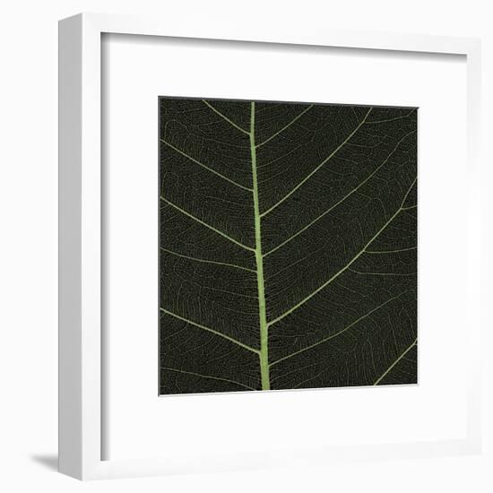 Bo Leaf I-Andrew Levine-Framed Giclee Print