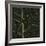 Bo Leaf I-Andrew Levine-Framed Giclee Print