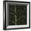 Bo Leaf I-Andrew Levine-Framed Giclee Print