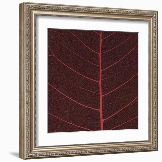 Bo Leaf II-Andrew Levine-Framed Giclee Print