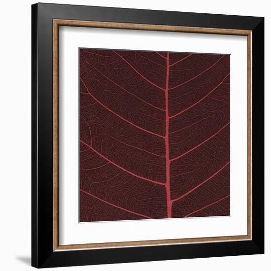 Bo Leaf II-Andrew Levine-Framed Giclee Print