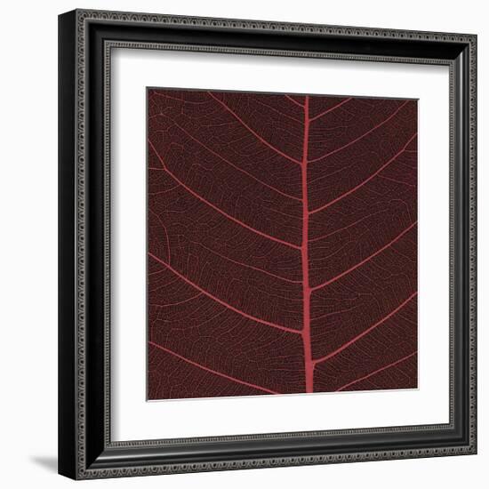 Bo Leaf II-Andrew Levine-Framed Giclee Print