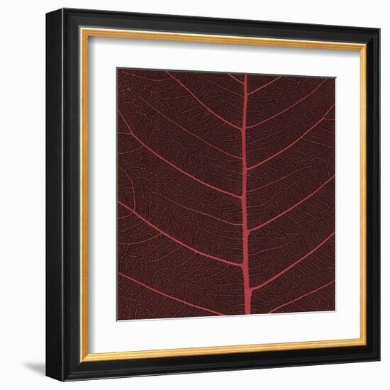 Bo Leaf II-Andrew Levine-Framed Giclee Print