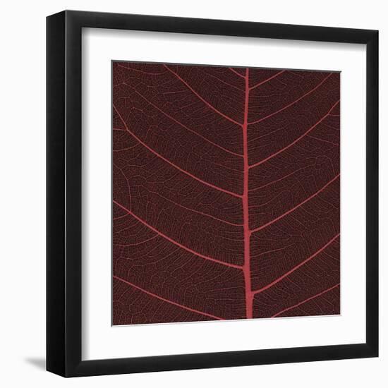 Bo Leaf II-Andrew Levine-Framed Giclee Print