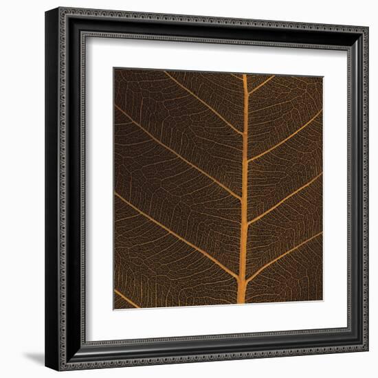 Bo Leaf III-Andrew Levine-Framed Giclee Print