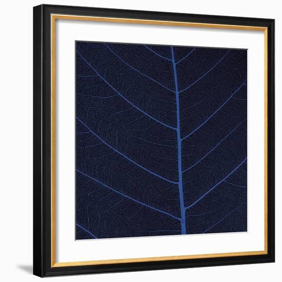 Bo Leaf IV-Andrew Levine-Framed Giclee Print