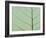 Bo Tree Leaf-Kevin Schafer-Framed Premium Photographic Print