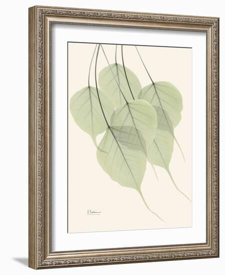 Bo Tree Moment-Albert Koetsier-Framed Art Print