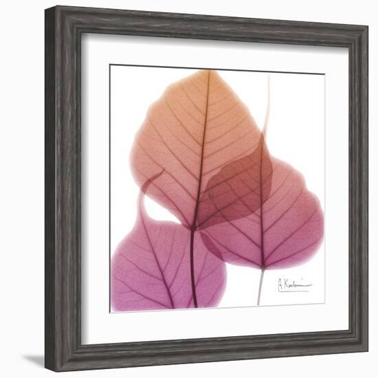 Bo Tree Pink Orange-Albert Koetsier-Framed Art Print