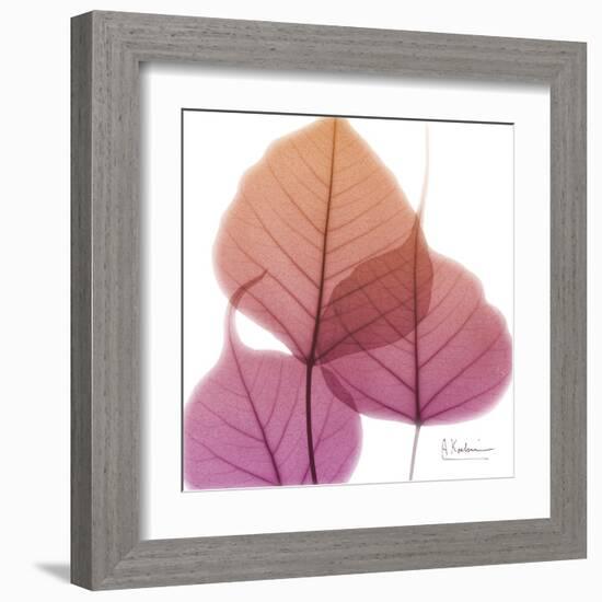 Bo Tree Pink Orange-Albert Koetsier-Framed Art Print