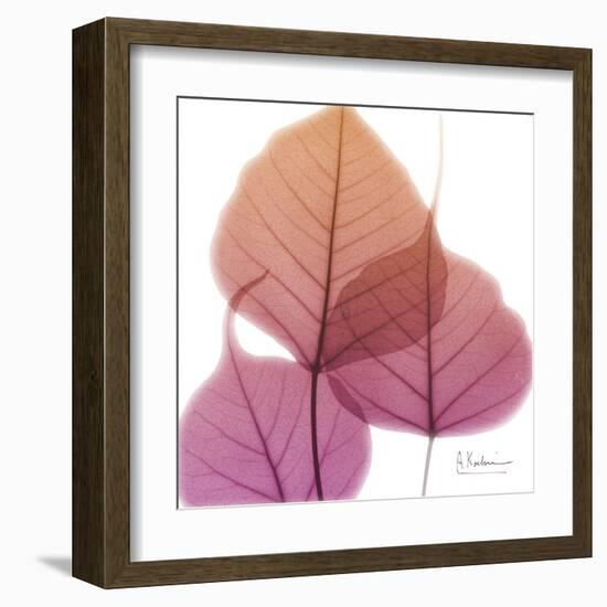 Bo Tree Pink Orange-Albert Koetsier-Framed Art Print