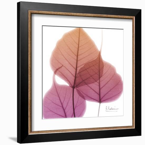Bo Tree Pink Orange-Albert Koetsier-Framed Art Print