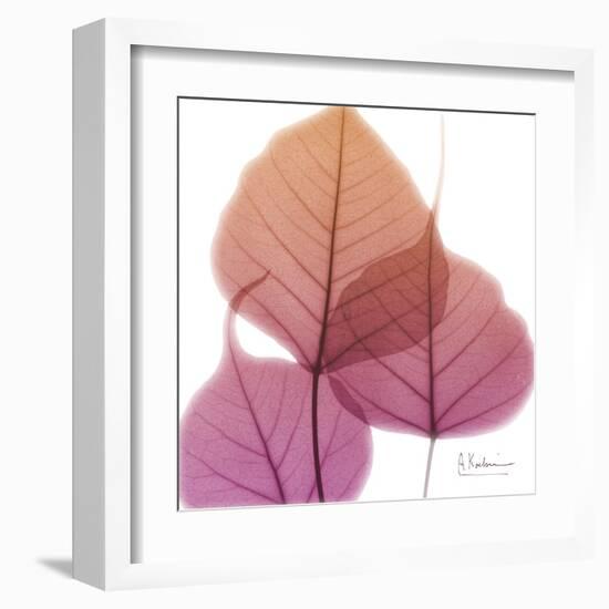 Bo Tree Pink Orange-Albert Koetsier-Framed Art Print