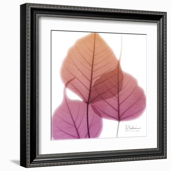 Bo Tree Pink Orange-Albert Koetsier-Framed Art Print