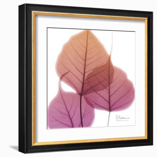 Bo Tree Pink Orange-Albert Koetsier-Framed Art Print