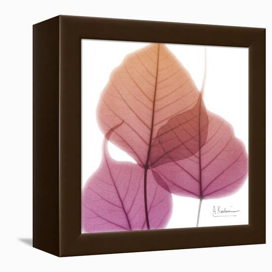 Bo Tree Pink Orange-Albert Koetsier-Framed Stretched Canvas