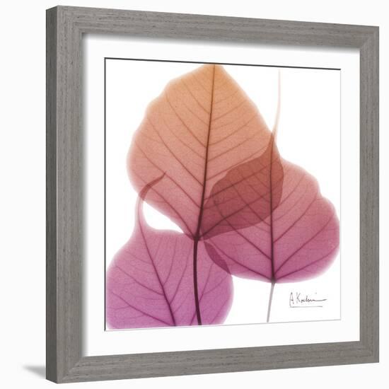 Bo Tree Pink Orange-Albert Koetsier-Framed Art Print