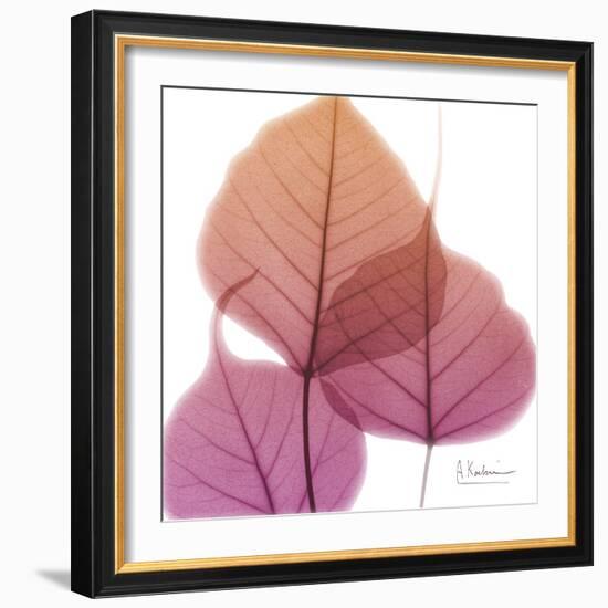 Bo Tree Pink Orange-Albert Koetsier-Framed Art Print