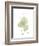 Bo Tree Portrait-Albert Koetsier-Framed Premium Giclee Print