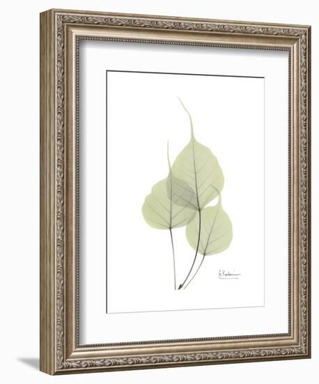 Bo Tree Portrait-Albert Koetsier-Framed Premium Giclee Print