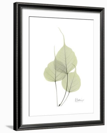 Bo Tree Portrait-Albert Koetsier-Framed Premium Giclee Print