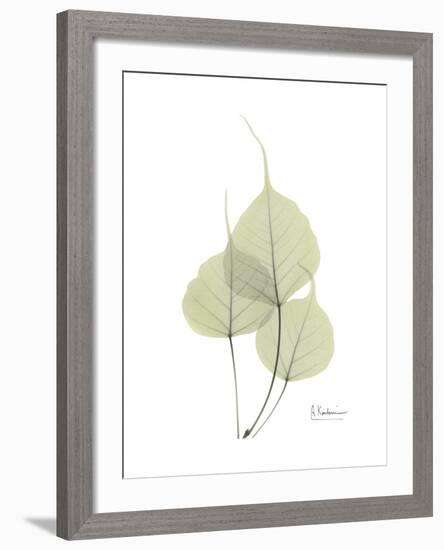 Bo Tree Portrait-Albert Koetsier-Framed Premium Giclee Print