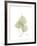 Bo Tree Portrait-Albert Koetsier-Framed Premium Giclee Print