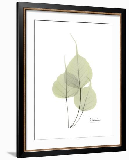 Bo Tree Portrait-Albert Koetsier-Framed Premium Giclee Print