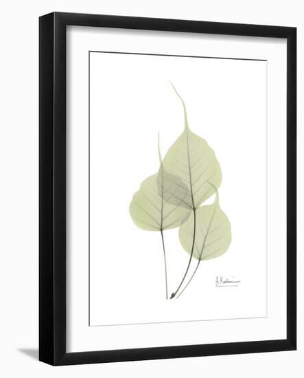 Bo Tree Portrait-Albert Koetsier-Framed Premium Giclee Print