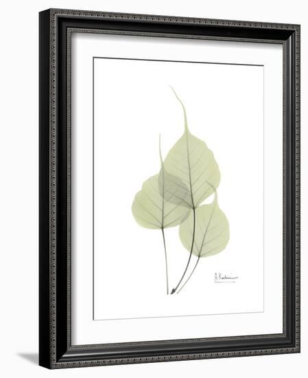 Bo Tree Portrait-Albert Koetsier-Framed Premium Giclee Print