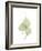 Bo Tree Portrait-Albert Koetsier-Framed Premium Giclee Print