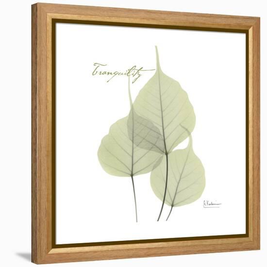 Bo Tree Tranquility-Albert Koetsier-Framed Stretched Canvas