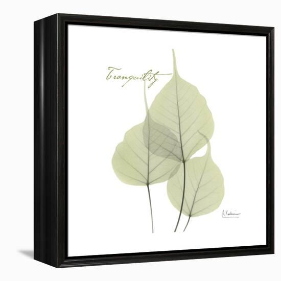 Bo Tree Tranquility-Albert Koetsier-Framed Stretched Canvas