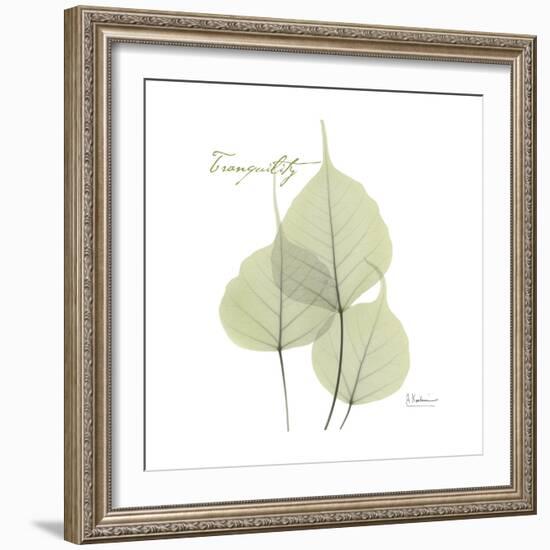 Bo Tree Tranquility-Albert Koetsier-Framed Premium Giclee Print