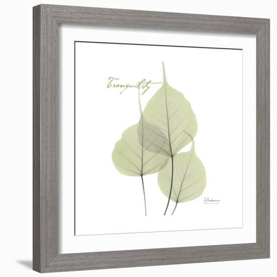 Bo Tree Tranquility-Albert Koetsier-Framed Premium Giclee Print