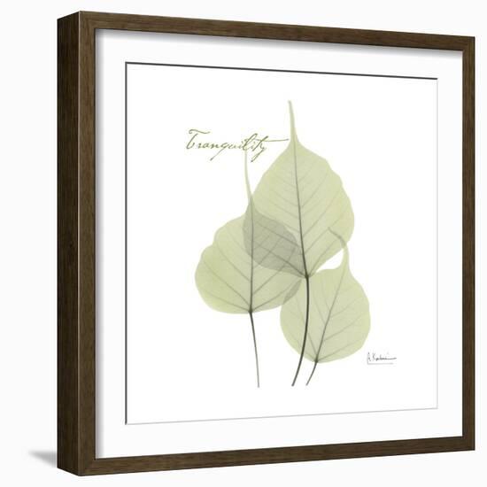 Bo Tree Tranquility-Albert Koetsier-Framed Premium Giclee Print
