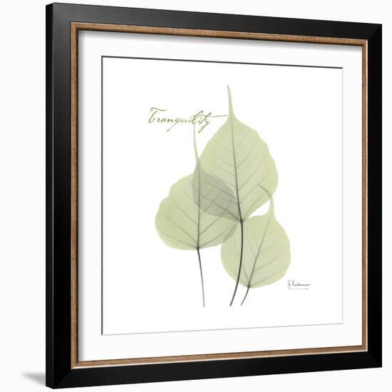 Bo Tree Tranquility-Albert Koetsier-Framed Premium Giclee Print