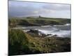 Premium Photographic Print