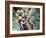 Boa Constrictor (Boa Constrictor), Boidae-null-Framed Giclee Print