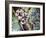 Boa Constrictor (Boa Constrictor), Boidae-null-Framed Giclee Print