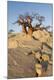 Photographic Print
