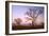 Boabs Bushland-null-Framed Photographic Print