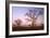 Boabs Bushland-null-Framed Photographic Print