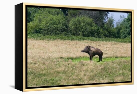 Boar/Hog Willow Sculpture in Meadow-null-Framed Premier Image Canvas