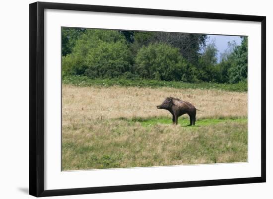 Photographic Print, , large