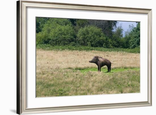 Boar/Hog Willow Sculpture in Meadow-null-Framed Photographic Print