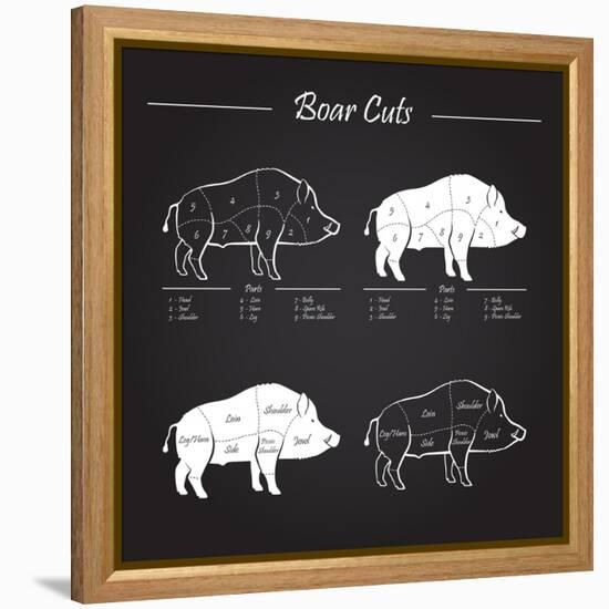 Boar Meat Cut Diagram - Elements Blackboard-ONiONAstudio-Framed Stretched Canvas